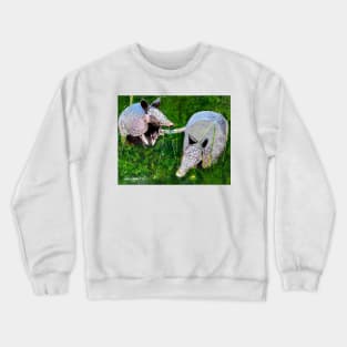 Playful Armadillos Crewneck Sweatshirt